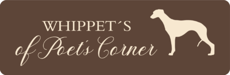 Whippet´s of Poet´s Corner